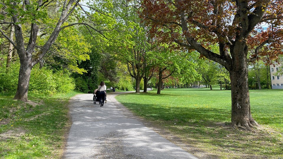 Person med barnvagn går på en väg genom en park.