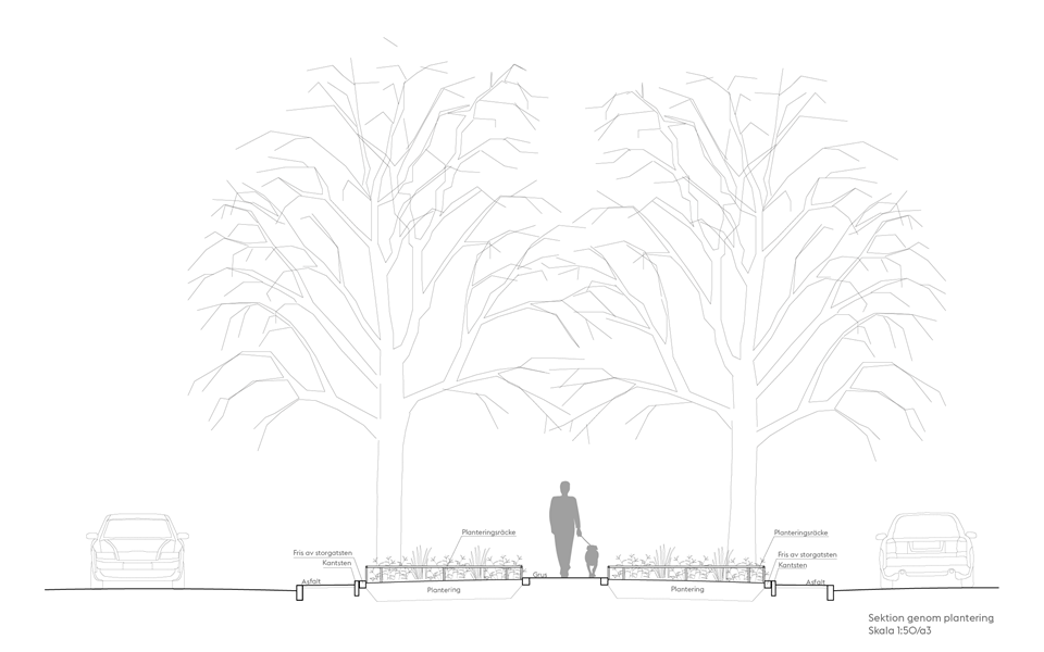 Sektionsskiss med träd och planteringar i mitten av gatan, med en gångbana i mitten.