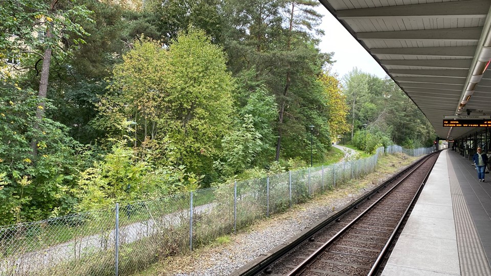 Perrongen på Gubbängens tunnelbanestation med vy mot gångväg och grönområde, foto.
