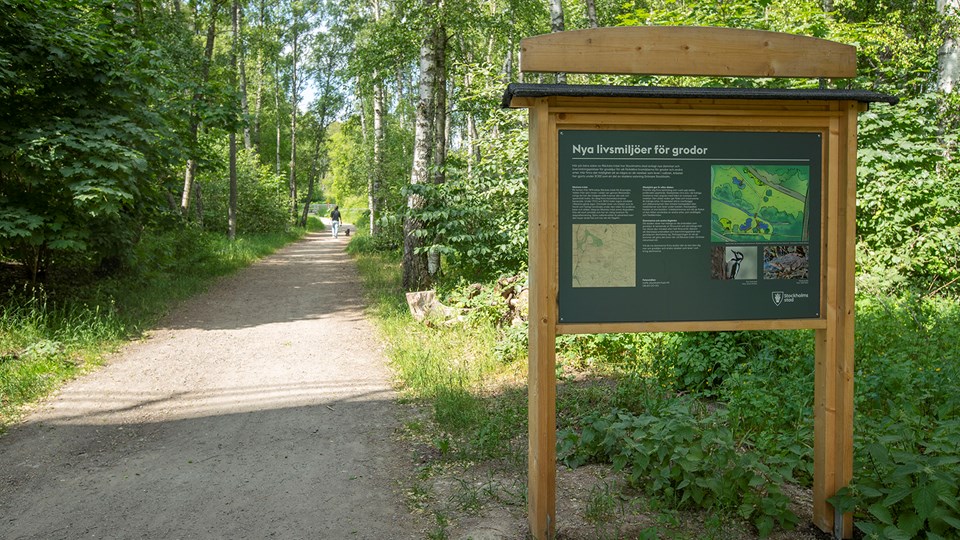 En skogsväg som leder genom ett grönskande område. Till höger syns en informationsskylt för nya livsmiljöer för grodor.